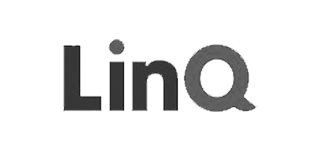 logo linq market research espana