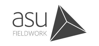 logo analisis survey
